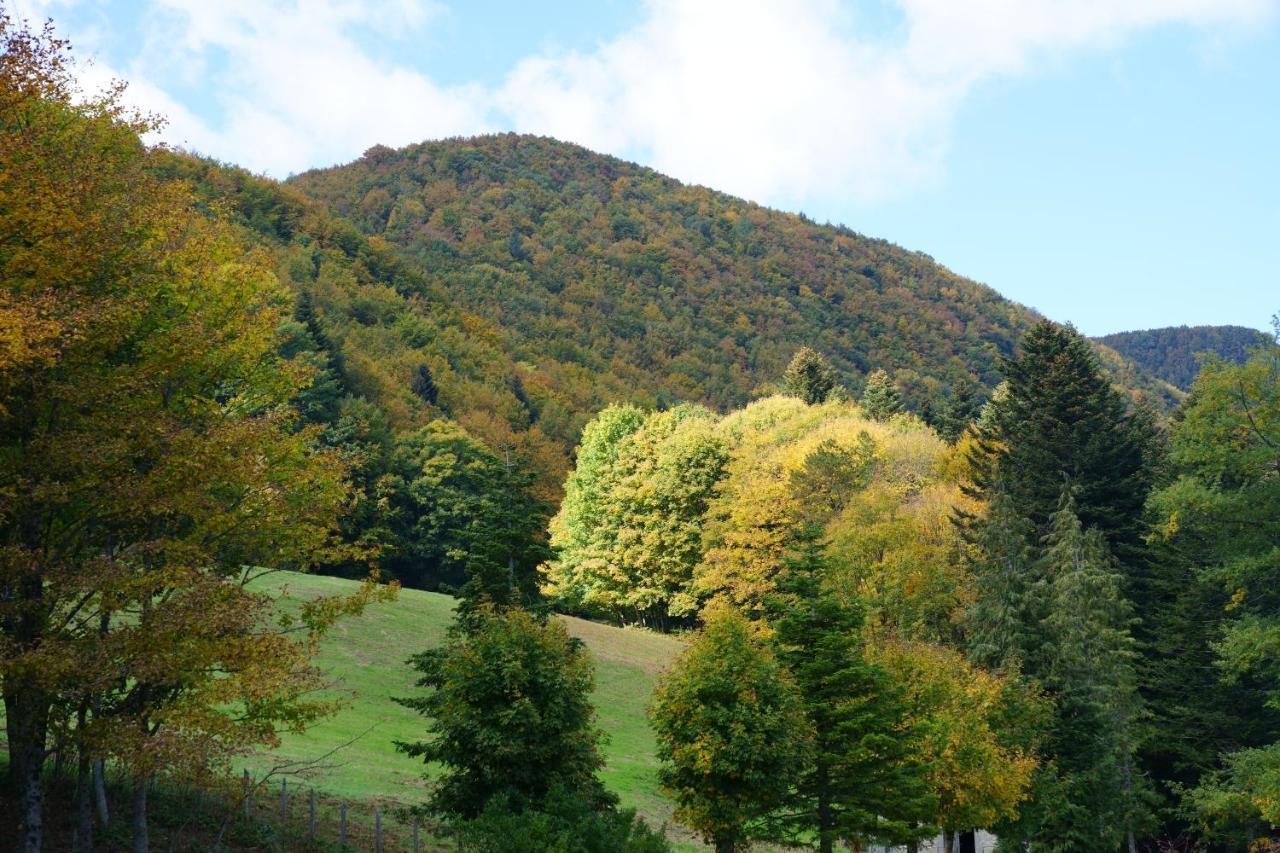 Monastero Sant'Alberico Relais 호텔 Balze 외부 사진